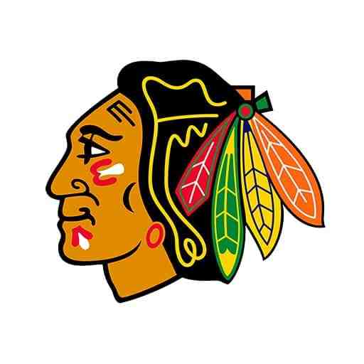 NHL Winter Classic: Chicago Blackhawks vs. St. Louis Blues