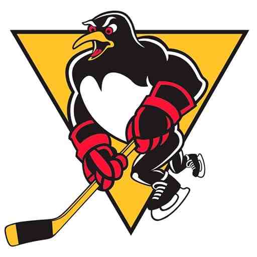 Wilkes-Barre Scranton Penguins vs. Charlotte Checkers