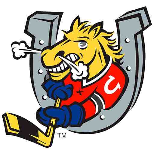 Barrie Colts vs. Brampton Steelheads