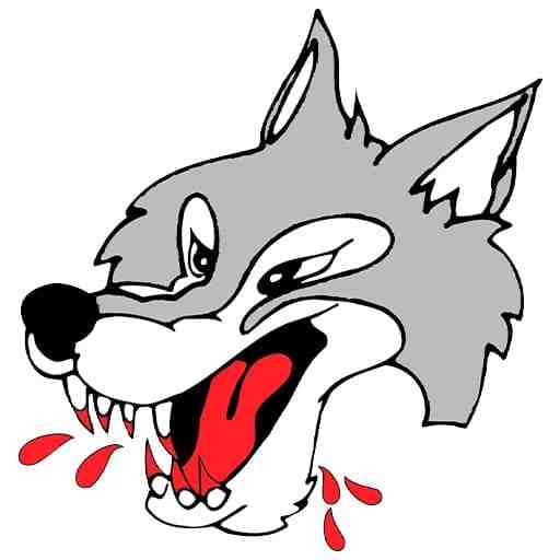 Sudbury Wolves